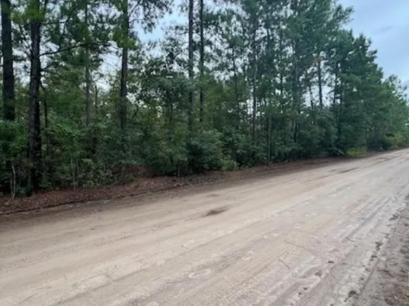 Tract 4 0 Blue Jay Road, Guyton, GA 31312