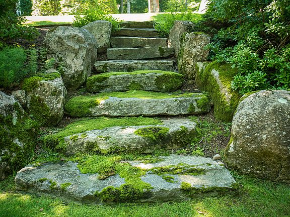 Soft Moss Covered Steps