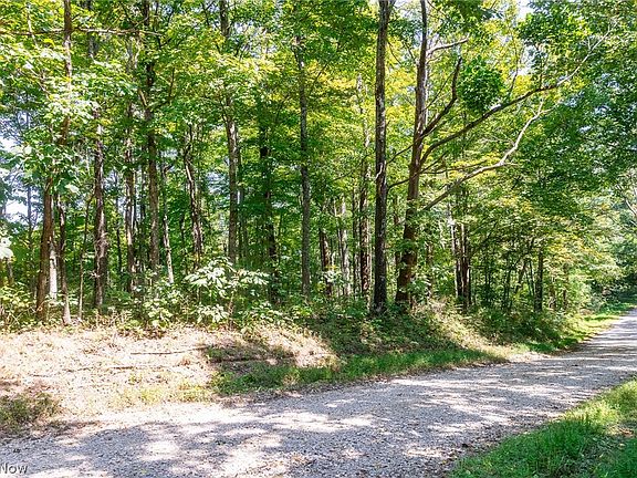 3rd image of County Road 269