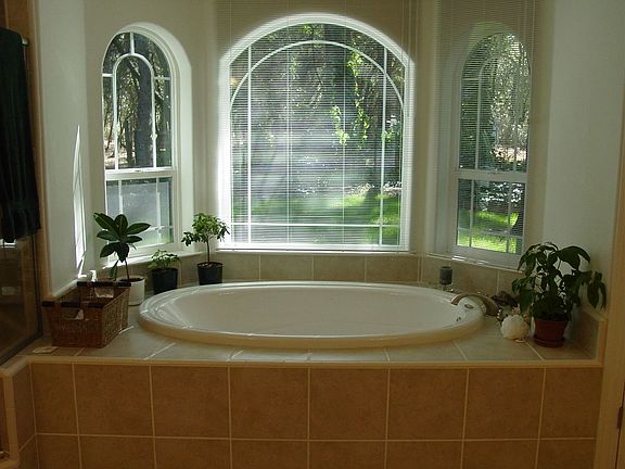 Master Bath Tub
