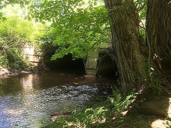 Orwell Brook from lower yard