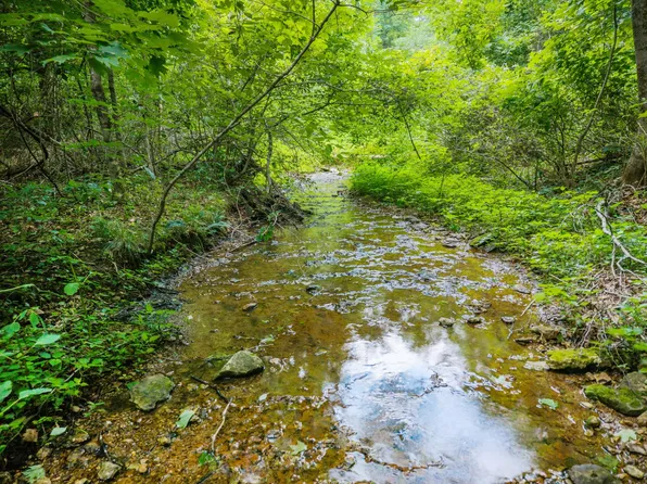 68 Clure Brown Rd, Westmoreland, TN 37186