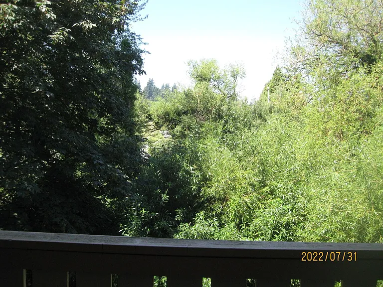 417 Bellevue Way SE — Photo 11