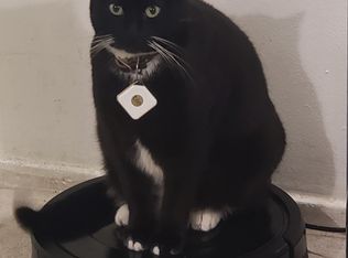 333 Ray Dr, Locust Fork, AL 35097