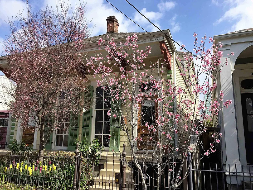 1431 Euterpe St