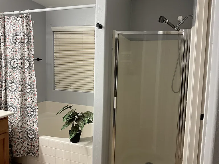 Tub and shower / master
