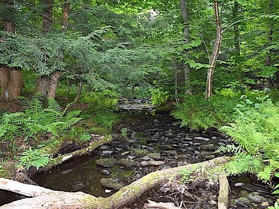 2nd image of 00 Apache Springs Road