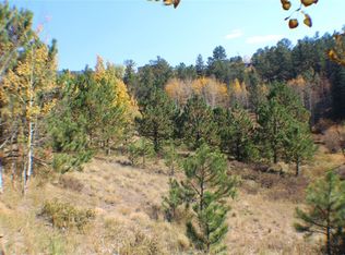 2020 Shelton Dr, Bailey, CO 80421