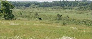 1st image of 25541 Whiskey Creek Dr
