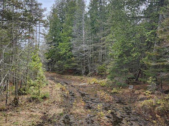 3rd image of E Canoe Bay Rd