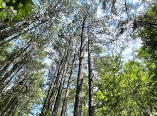 0 Hixon Porter Rd, Rayle, GA 30660