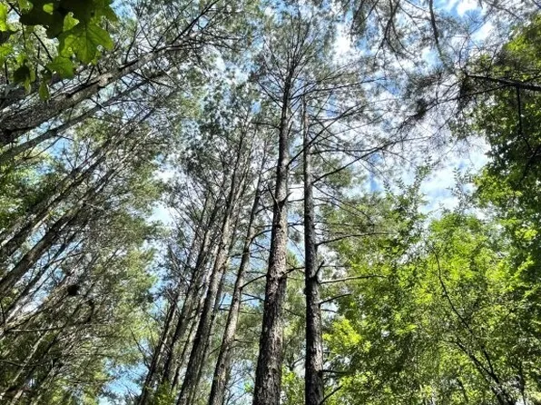 0 Hixon Porter Rd, Rayle, GA 30660