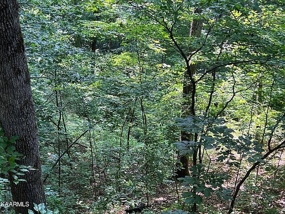 3rd image of 1475 Doe And Fawn Ln