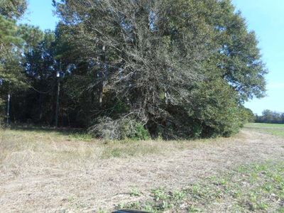 0 Columbus Hwy, Dawson, GA, 39842