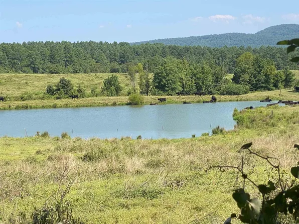 To Be Determine Old Caddo Gap Rd, Bonnerdale, AR 71933