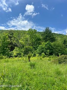 L5.126 Tae Kwon Road, North Blenheim, NY, 12131