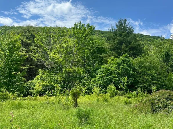 L5.126 Tae Kwon Road, North Blenheim, NY 12131