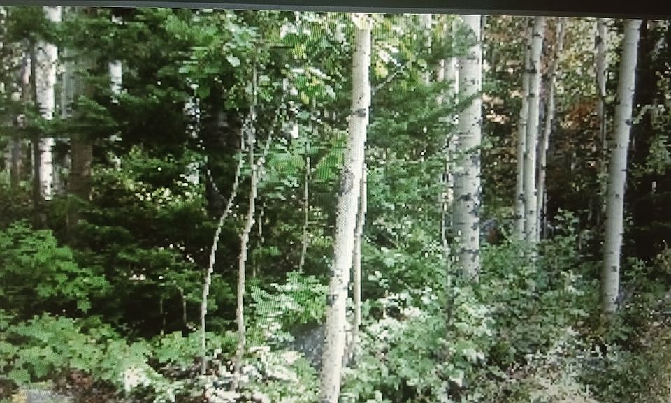 1st image of 0 Aspen St