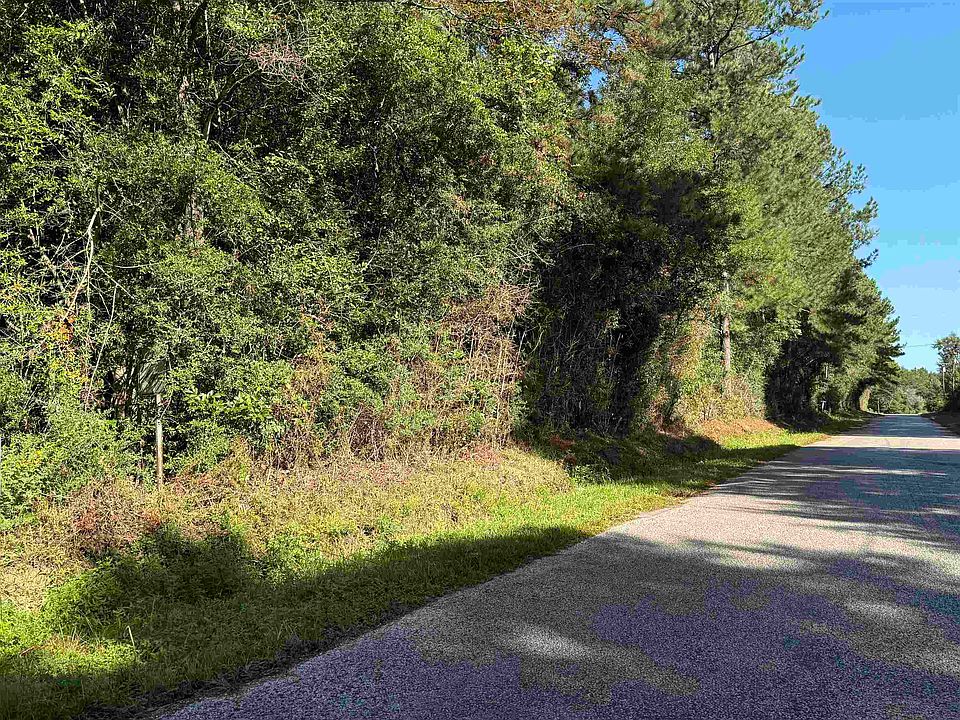 2nd image of 0 County Road 616