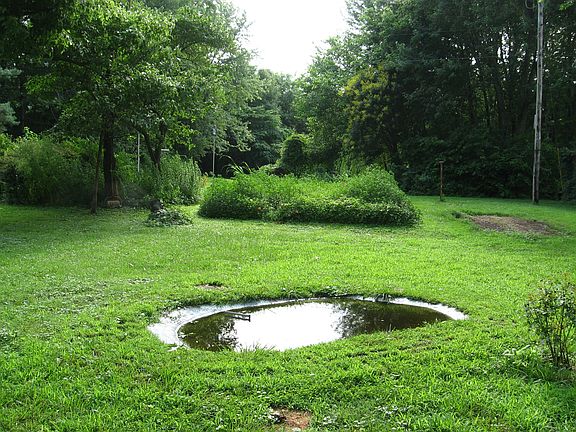 Small Concrete Pond Pic 2.