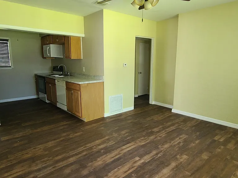 921 S Palmetto Ave — Photo 3