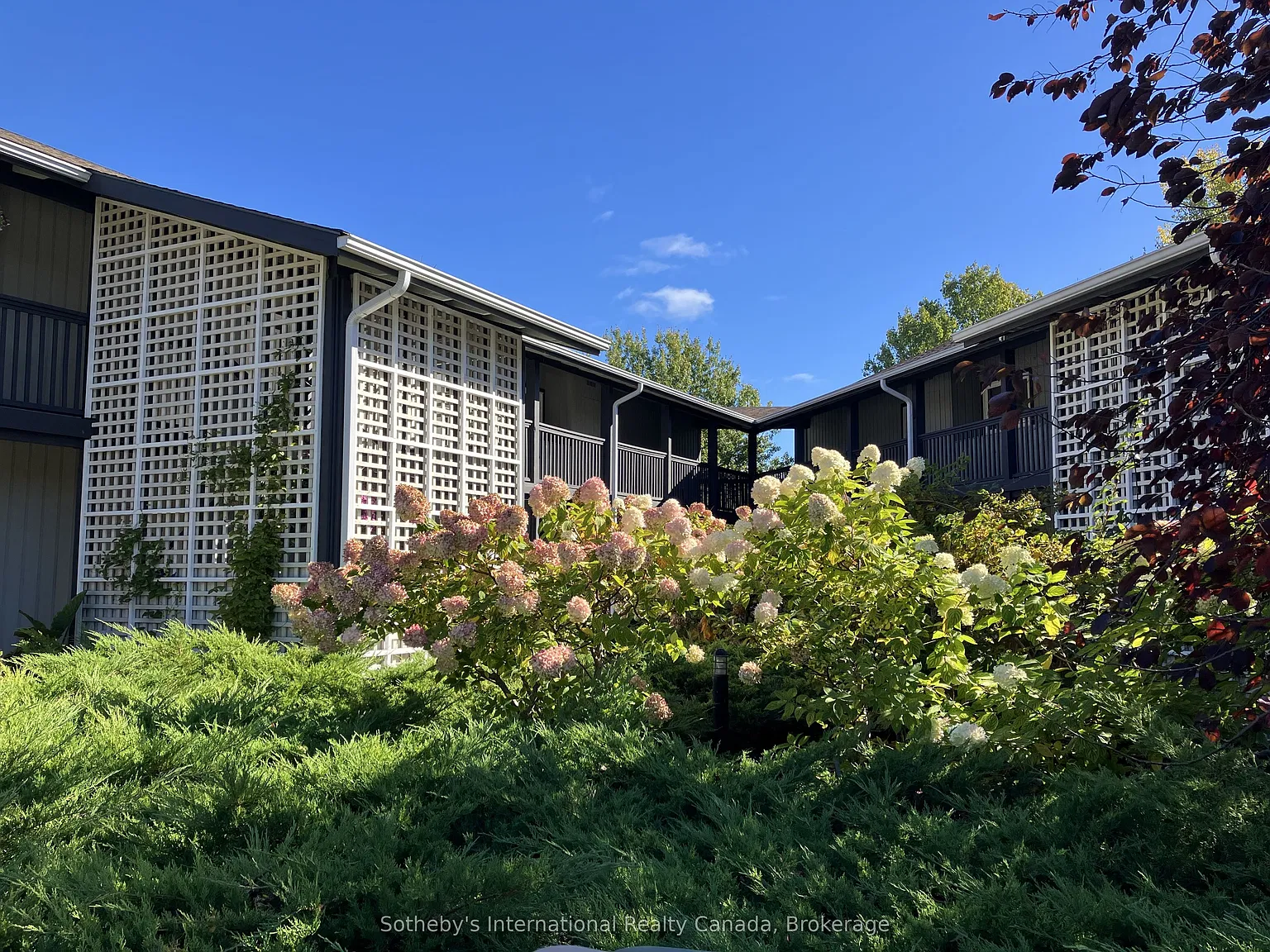 3 bed, $3,500 — Photo 4