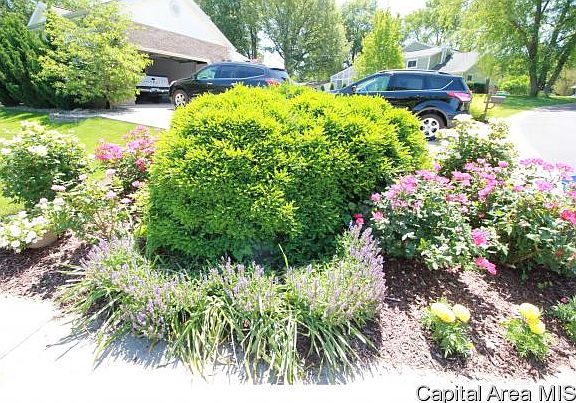 3rd image of 513 Charter Oak Dr
