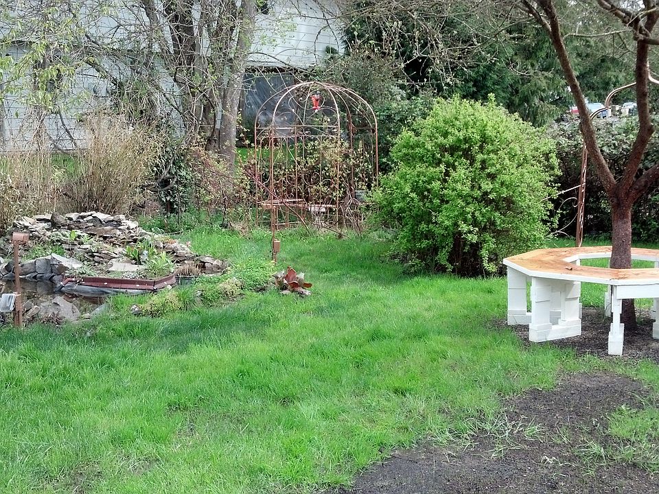 spring view of back yard