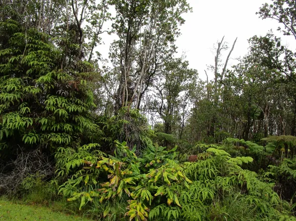 Kanilehua Pl Lot 2091, Volcano, HI 96785