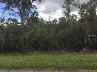 4 Nettleton St, St unit, FL 32833