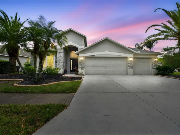 8208 Pinewood Run Ct, Tampa, FL 33647