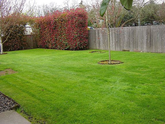 Nice fenced back yard