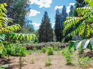 10060 Flume St, North San Juan, CA 95960