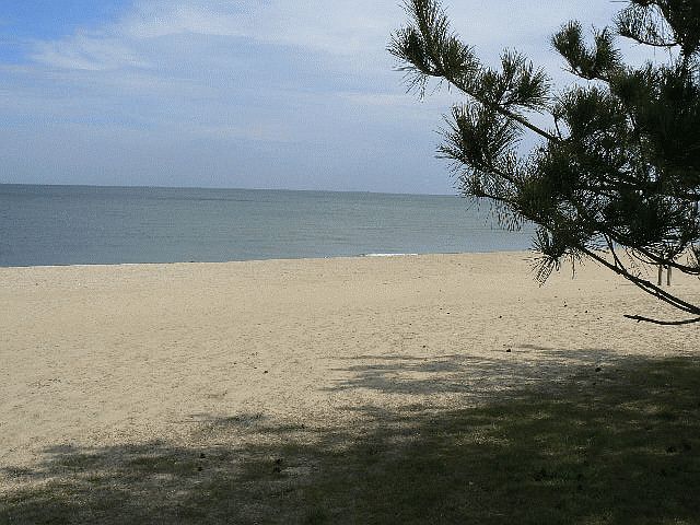 Beach with lifeguard just 3 blocks away!