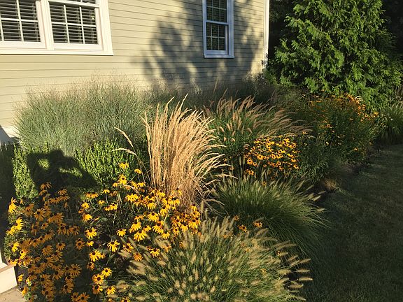 Beautiful Blooms all Season