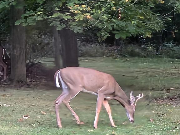 5th image of 2237 Earlystown Rd