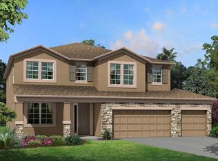 8242 Bluevine Sky Dr, Land O Lakes, FL 34637