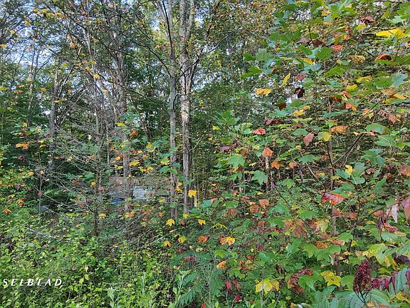 5th image of 5415 N County Road 555 E