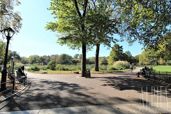 Rented by Alpha Properties NYC I LLC | media 12