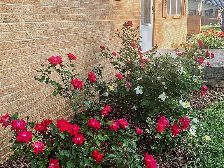 2125 Cherry St SE — Photo 2