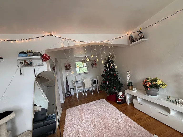 422 Brookline Blvd — Photo 9