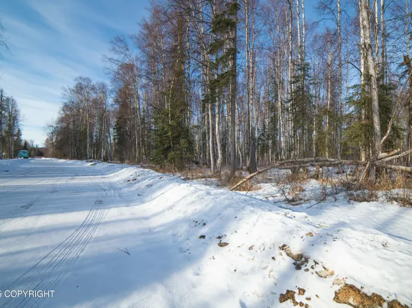 65318 S Parks Hwy, Willow, AK 99688
