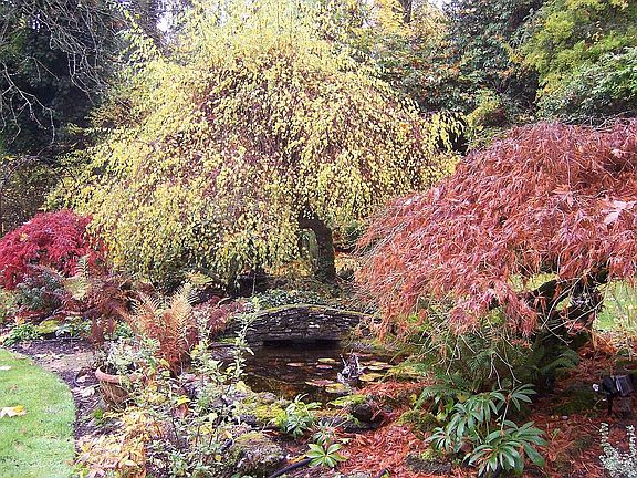 Pond with stone bridge in front yard