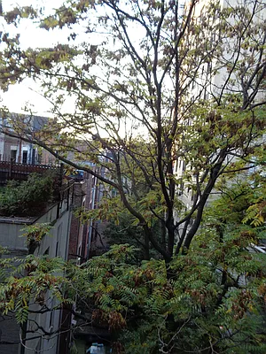 Rented by Metropolitan Equities | media 14