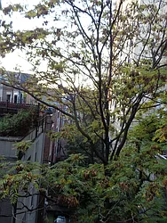 Rented by Metropolitan Equities