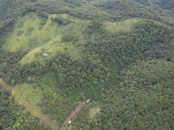 558 Glass Hollow Rd, Blackwater, VA 24221