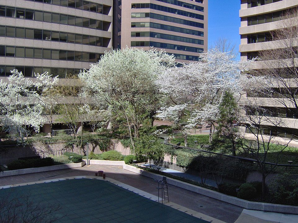 View from the balcony