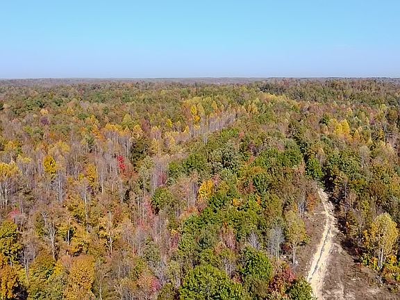 3rd image of 5776 Highway 100 W Lot 1