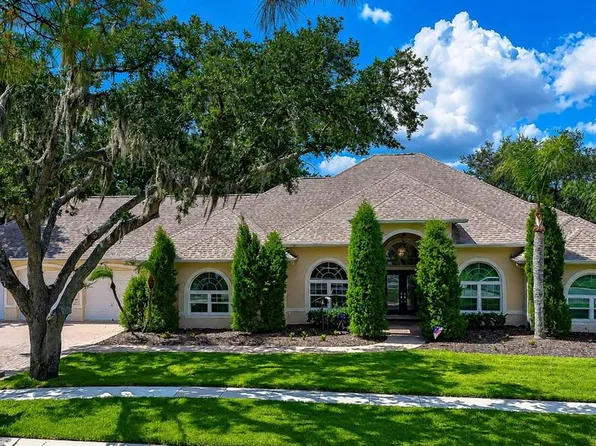 1009 Emerald Creek Dr, Valrico, FL 33596