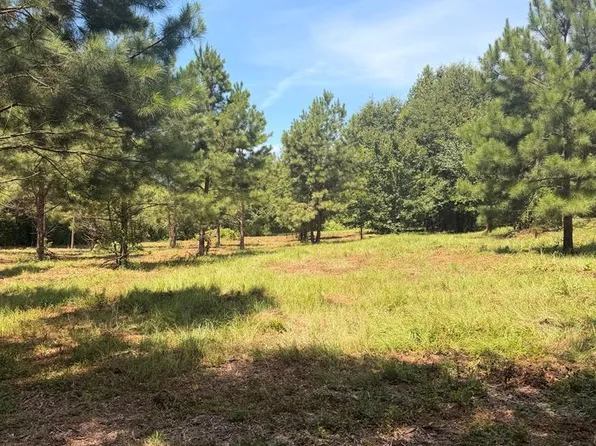 County Road 3449, Atlanta, TX 75551